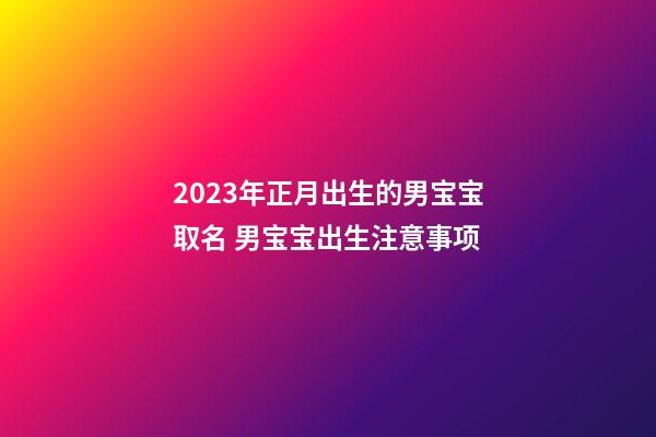 2023年正月出生的男宝宝取名 男宝宝出生注意事项